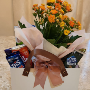 Cesta maleta com cerveja e flor